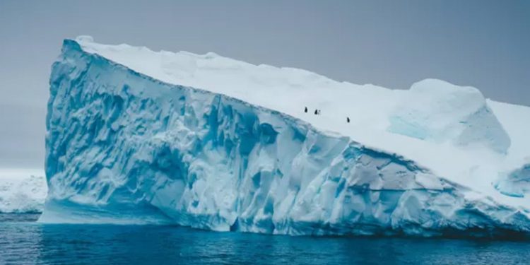 İtalya’da 'absürt dolandırıcılık': Var olmayan devletin pasaportunu satan çete çökertildi