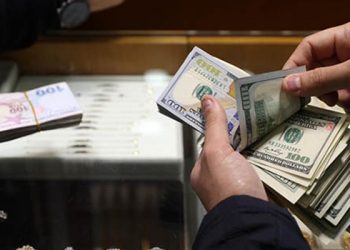 Japon bankadan dolar/TL tahmini: 20 lira olacak