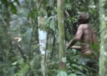 Kabilesi soykırıma uğramıştı: 26 yıldır tek başına yaşayan 'Çukur Adam' ölü bulundu