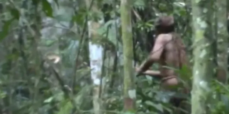 Kabilesi soykırıma uğramıştı: 26 yıldır tek başına yaşayan 'Çukur Adam' ölü bulundu