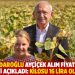 Kılıçdaroğlu ayçiçek alım fiyatı için önerisini açıkladı: Kilosu 16 lira olmalı ki...