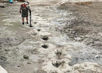 Kuraklık ABD'de 113 milyon yıllık dinozor ayak izlerini ortaya çıkardı