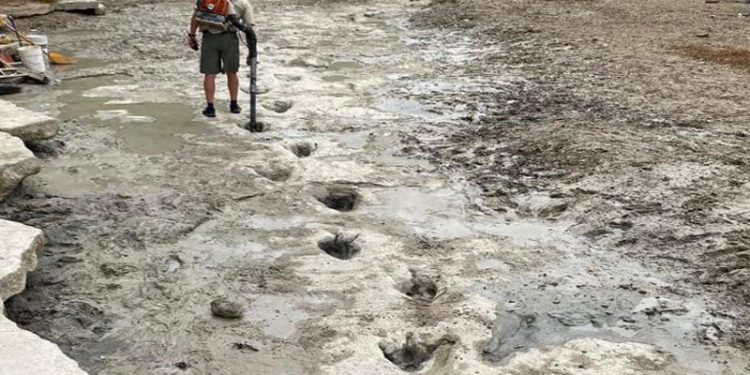 Kuraklık ABD'de 113 milyon yıllık dinozor ayak izlerini ortaya çıkardı