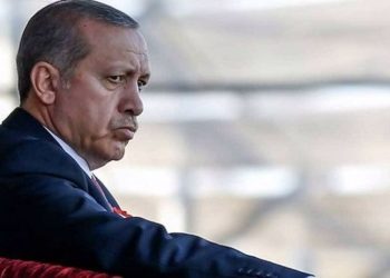 Mahkemeden Erdoğan'ın açtığı davada karar: Eleştirilmen gayet doğal, tahammül etmelisin