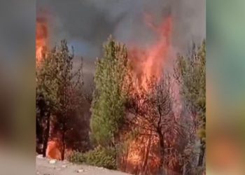Maraş'taki orman yangınında 31 hektar alan zarar gördü