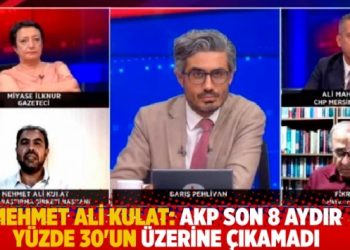 Mehmet Ali Kulat: AKP son 8 aydır y&uuml;zde 30'un &uuml;zerine &ccedil;ıkamadı