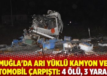 Muğla'da arı y&uuml;kl&uuml; kamyon ve otomobil &ccedil;arpıştı: 4 &ouml;l&uuml;, 3 yaralı