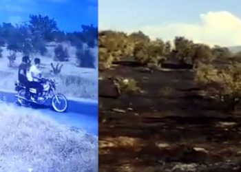 Nesin Vakfı’nın zeytinliklerini kundaklayanlar serbest bırakıldı