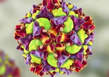 New York'ta tespit edilmemiş 'binlerce çocuk felci vakası olabilir'