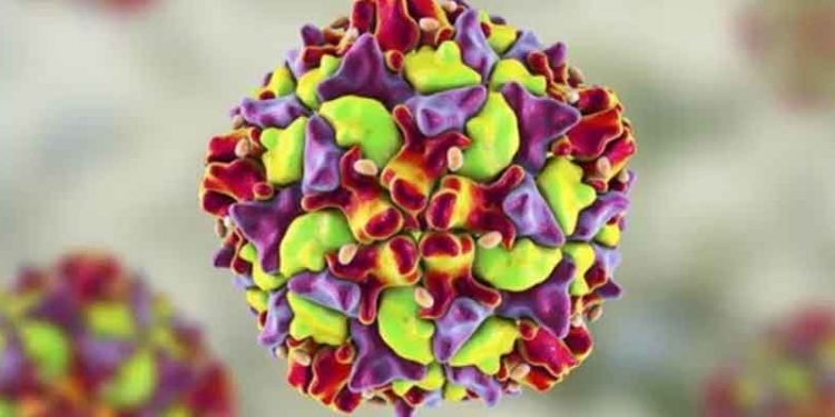 New York'ta tespit edilmemiş 'binlerce çocuk felci vakası olabilir'