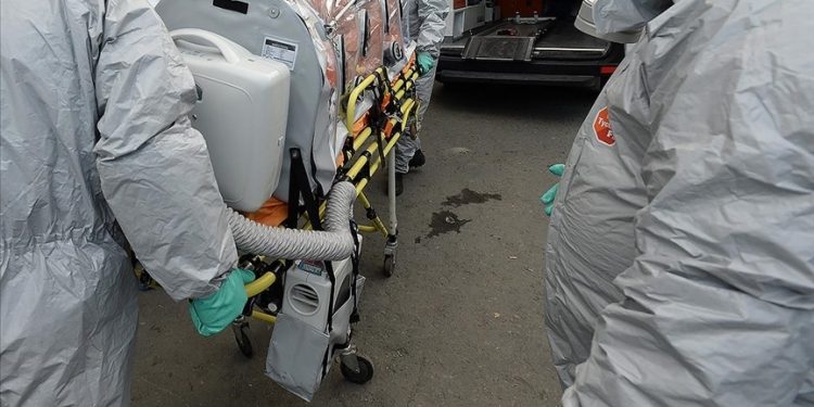 Nijerya'da maymun çiçeği vakalarının sayısı 172'ye çıktı