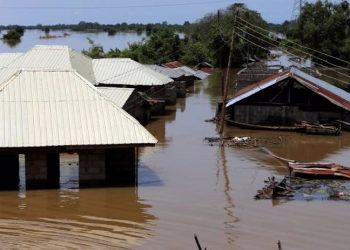 Nijerya'da sel: 115 ölü, 227 yaralı