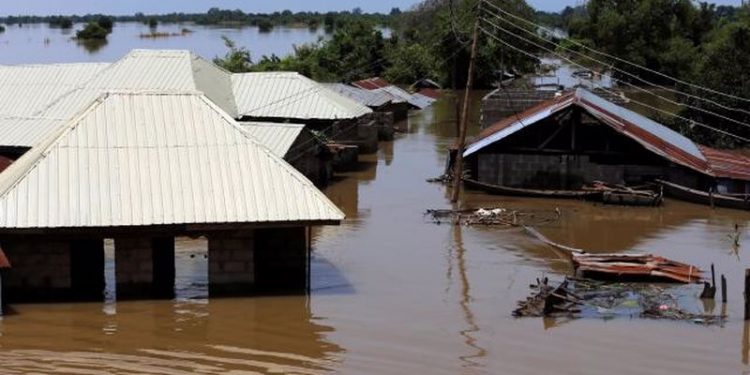 Nijerya'da sel: 115 ölü, 227 yaralı