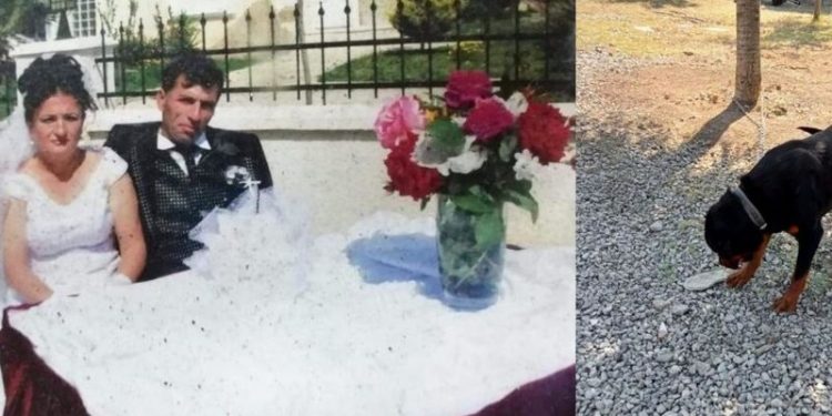 Öldürüp bahçeye gömülen kadının cesedi, bekçi köpek tarafından bulundu