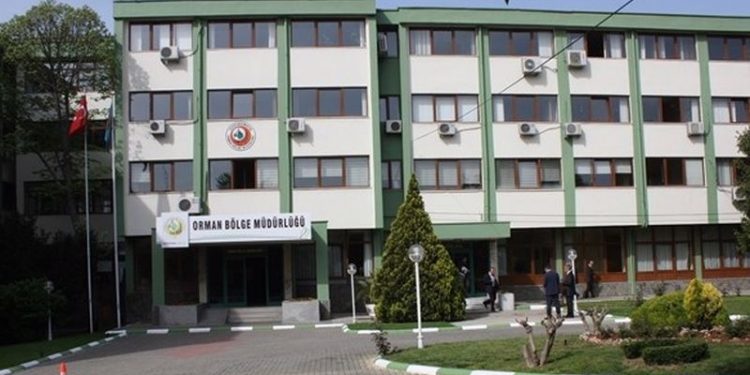 Orman Müdürlüğü, suç duyurusuna rağmen AKP'li belediyenin kaçak ocağına ruhsat vermiş