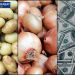 Patates soğandan sonra sıra dolar baskınlarına geldi