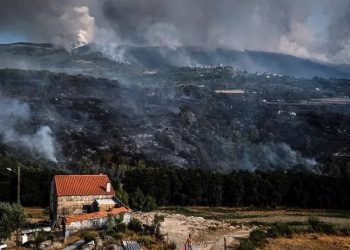 Portekiz'de süren orman yangınlarında 17 bin hektarlık alan yandı