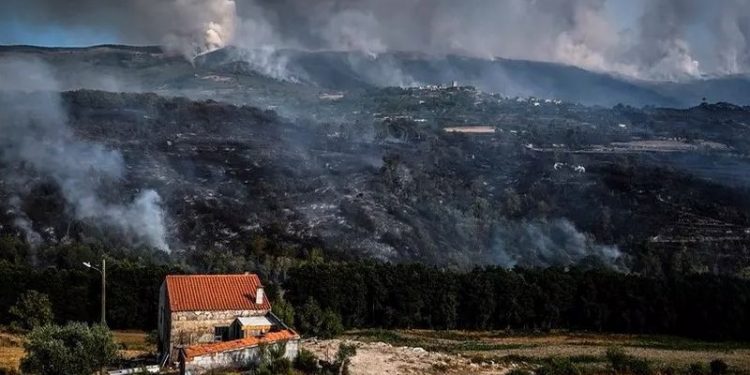 Portekiz'de süren orman yangınlarında 17 bin hektarlık alan yandı