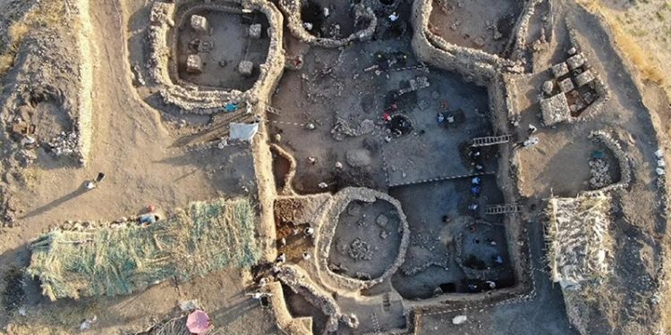 Prof. Dr. Ökse Gre Fılla’yı anlattı: Göbeklitepe'deki gibi özel