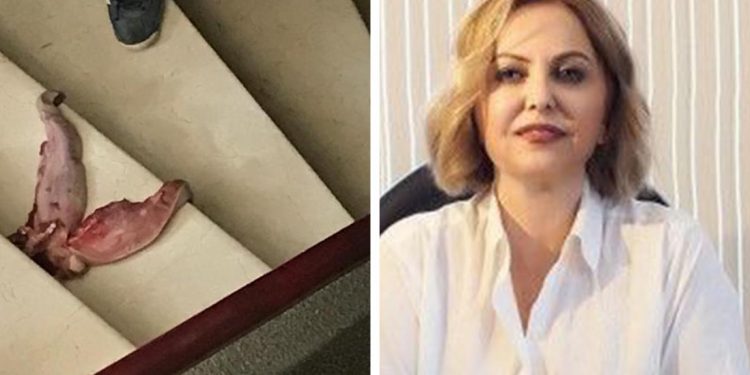 Prof. Dr. Şenol’u tehdit eden kişi serbest bırakıldı