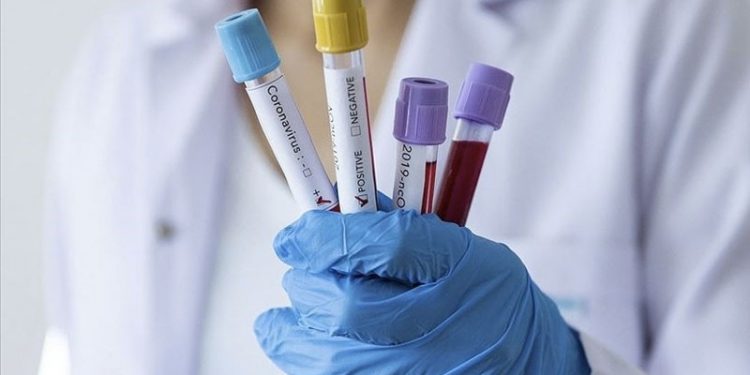 Prof. Dr. Yorulmaz: Koronavirüste vaka artışı, mutasyonları körüklüyor