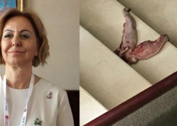 Profesörün kapısına dana dili bırakıldı: Planlanan bir cinayetin hedefindeyim