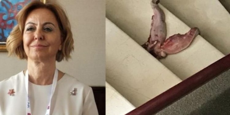 Profesörün kapısına dana dili bırakıldı: Planlanan bir cinayetin hedefindeyim