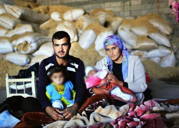 Resmi verilere göre Türkiye’de kaç sığınmacı var, Suriyeli sayısı ne?