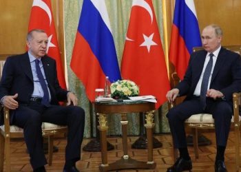 Rusya Başbakan Yardımcısı Novak: Erdoğan ve Putin gaz konusunda anlaştı