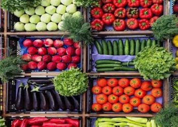 Sebze fiyatları yüzde 169 artışla rekor kırdı