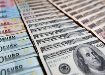 Şirketler iki haftada 6,5 milyar dolarlık döviz aldı