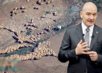 Soylu, İHA kamerasındaki koyunları görünce duygulandı: ‘Otlamasına bak hele…’