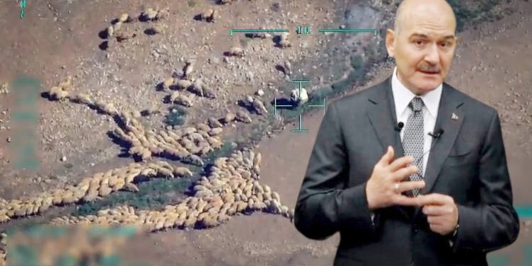 Soylu, İHA kamerasındaki koyunları görünce duygulandı: ‘Otlamasına bak hele…’