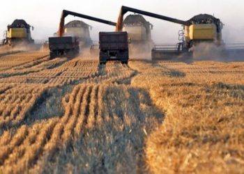 Suriye’ye Rus tahılı taşırken Lübnan'da tutuklanan gemi serbest bırakıldı