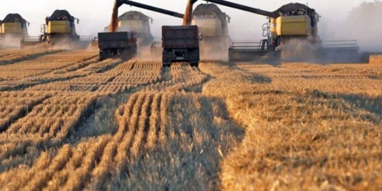 Suriye’ye Rus tahılı taşırken Lübnan'da tutuklanan gemi serbest bırakıldı