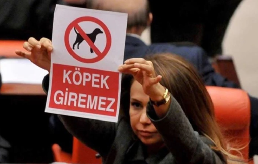 TBMM’de ‘köpek giremez’ afişi göstermişti: Süleyman Soylu’nun danışmanı oldu