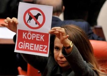 TBMM’de ‘köpek giremez’ afişi göstermişti: Süleyman Soylu’nun danışmanı oldu