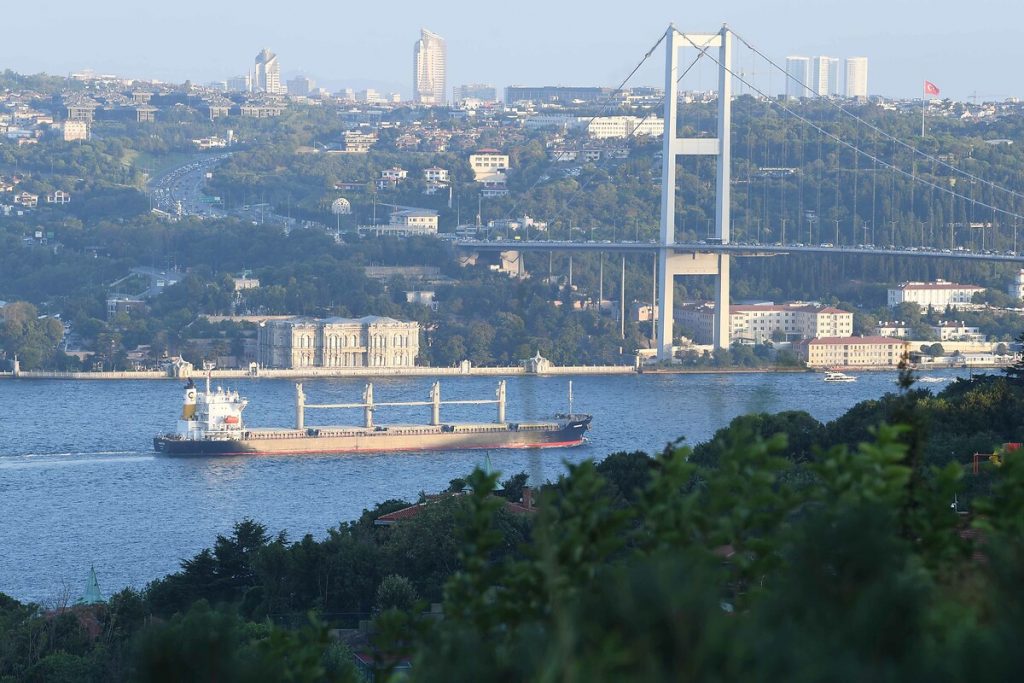 Tahıl için Ukrayna’ya 3 gemi daha yola çıktı