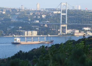 Tahıl için Ukrayna’ya 3 gemi daha yola çıktı