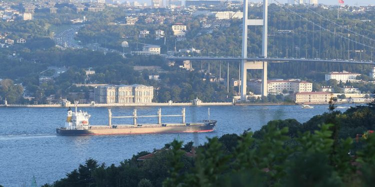 Tahıl için Ukrayna’ya 3 gemi daha yola çıktı