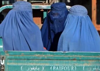 Taliban, Afganistan'da bir yılda kadın haklarını nasıl geri aldı?