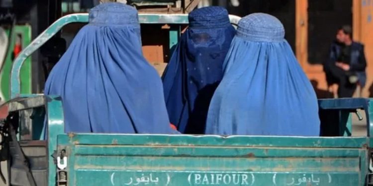Taliban, Afganistan'da bir yılda kadın haklarını nasıl geri aldı?