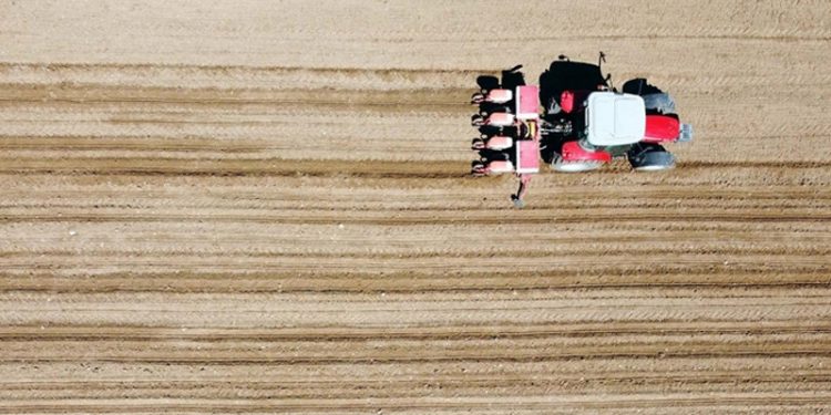 Tarım üretici enflasyonunda yeni zirve: Yıllık yüzde 157,8 arttı