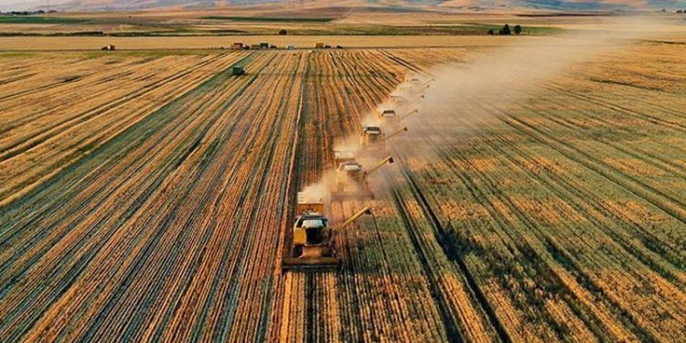 Tarımsal girdi fiyatlarında yeni zirve: Yıllık yüzde 135 arttı