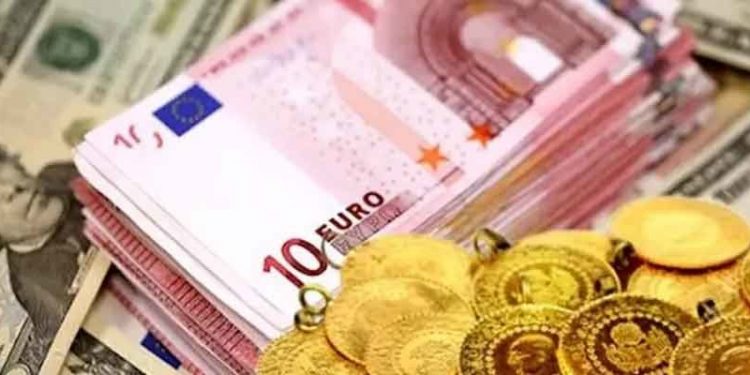 Tasarruflarda döviz ve altın tercihi sürüyor