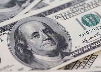 Türkiye'de bankadaki her 100 liradan 71'i 'dolarize'