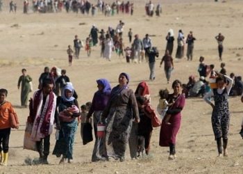 Uca: Ferman’ın 8’inci yılında Êzidî halkı kendi örgütlülüğüyle direniyor