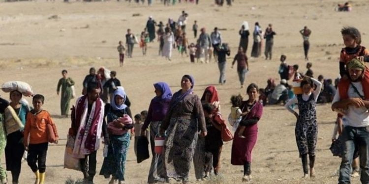 Uca: Ferman’ın 8’inci yılında Êzidî halkı kendi örgütlülüğüyle direniyor