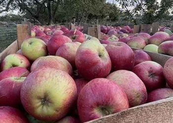 Üreticiden markete 9 kat artış