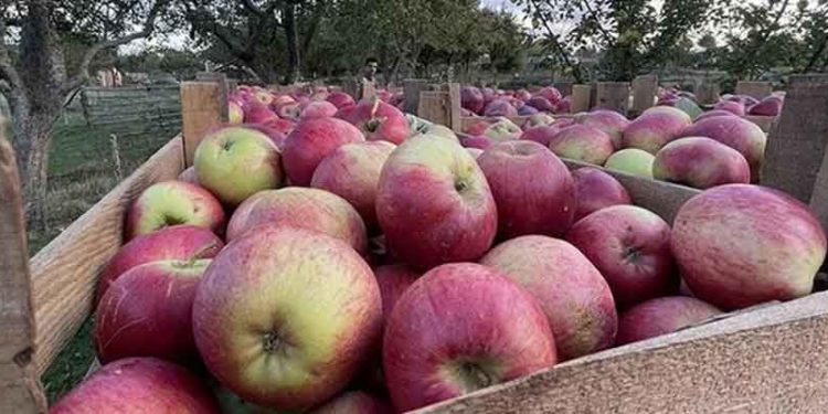Üreticiden markete 9 kat artış